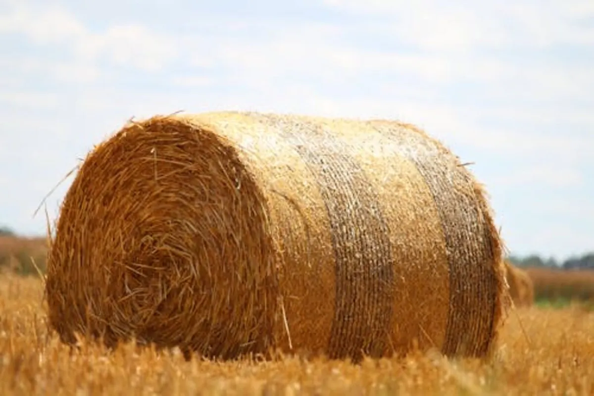 Straw Baling Service