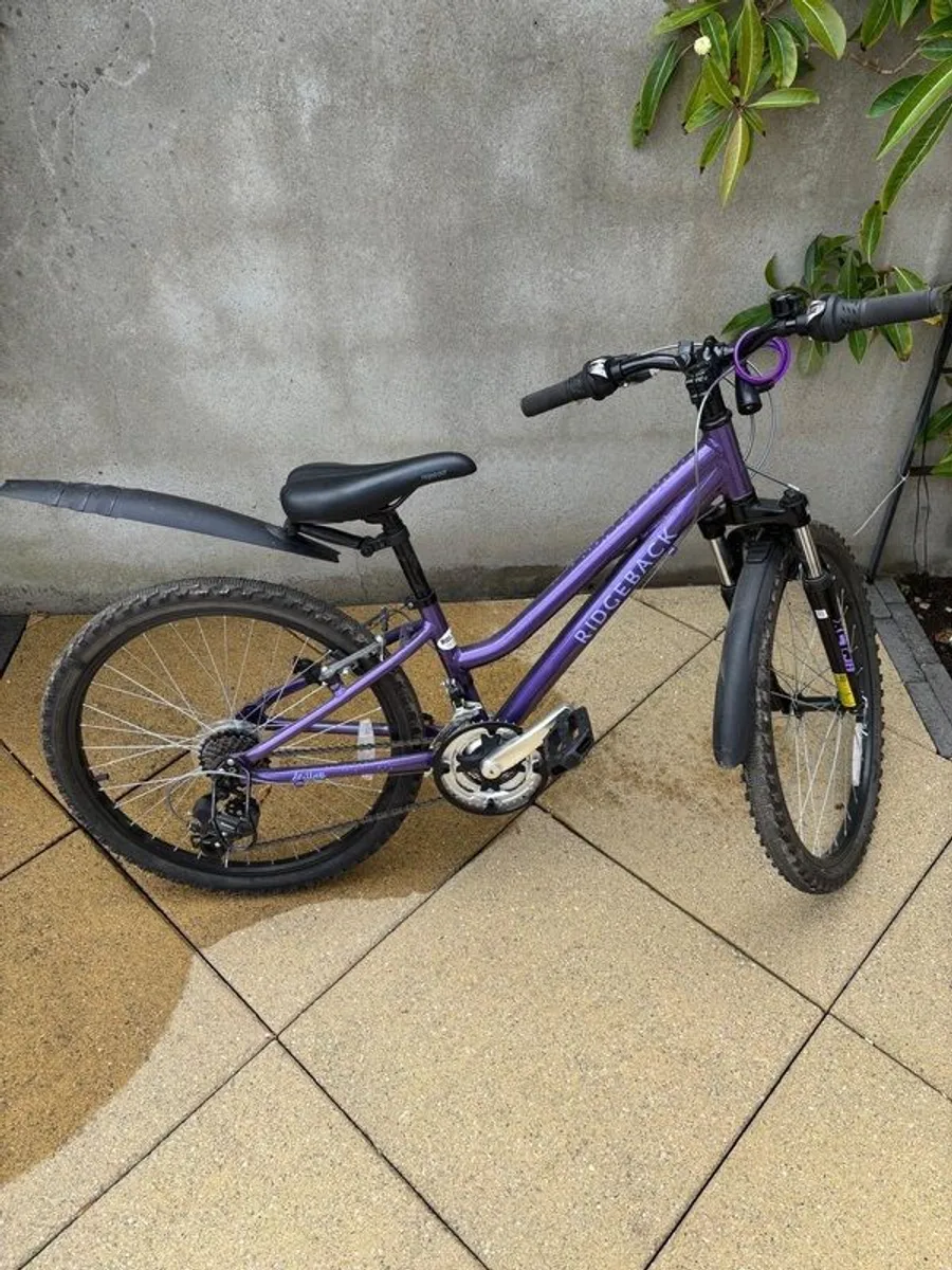 Ridgeback 24" Destiny bike - Image 1