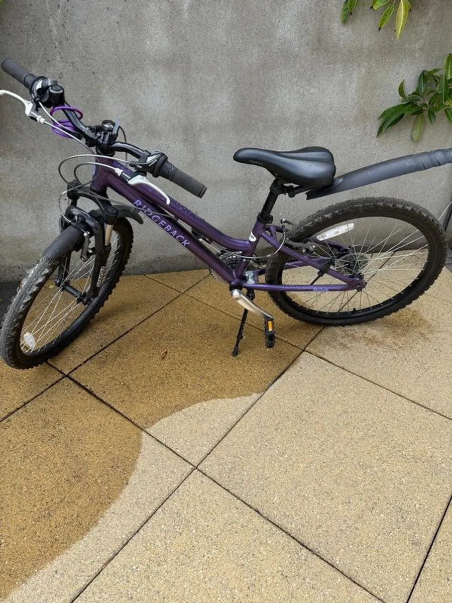 Ridgeback 24" Destiny bike - Image 2