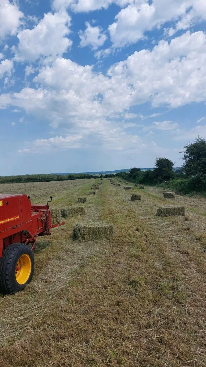 Square bales hay - this Saturday 12th July - Image 1
