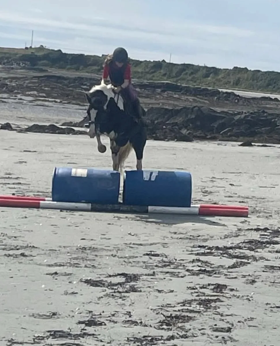 Perfect fun pony - Image 2