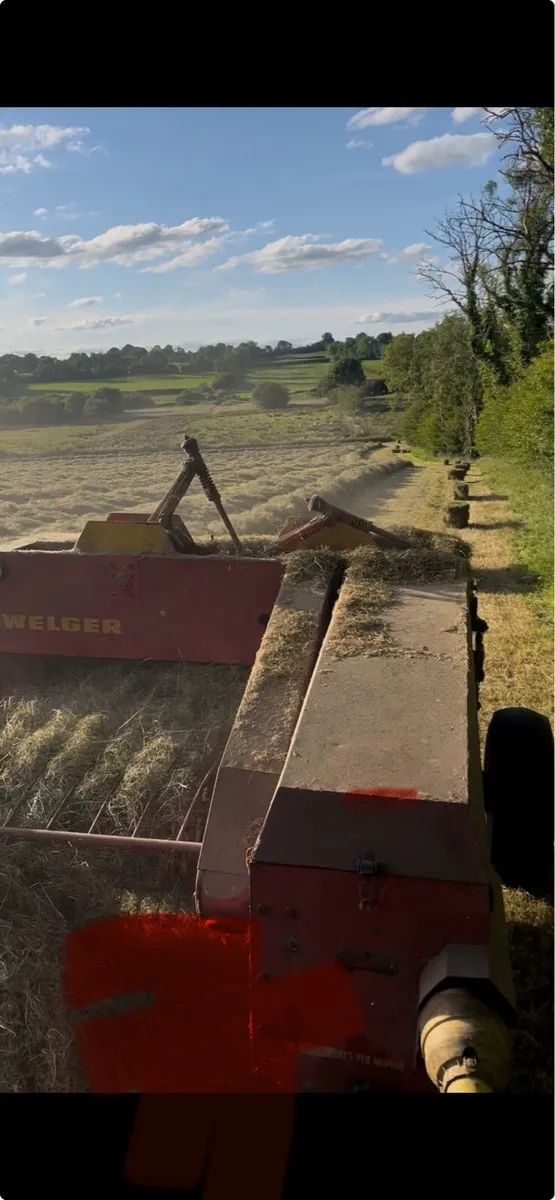 Hay square bales - Image 1