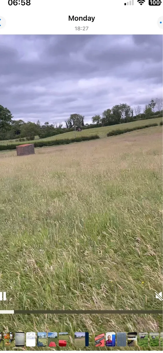 Hay square bales - Image 2