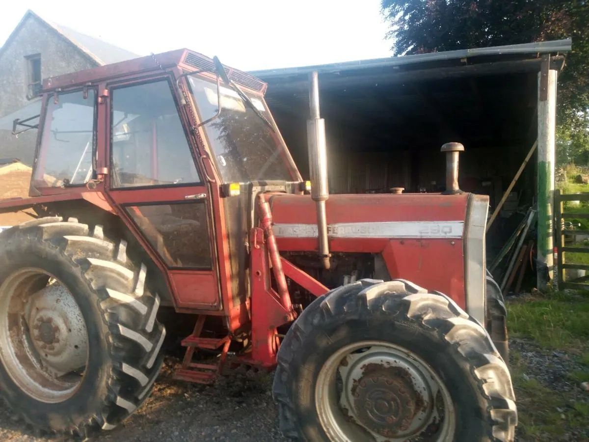 Massey. Fregsion 290 - Image 2