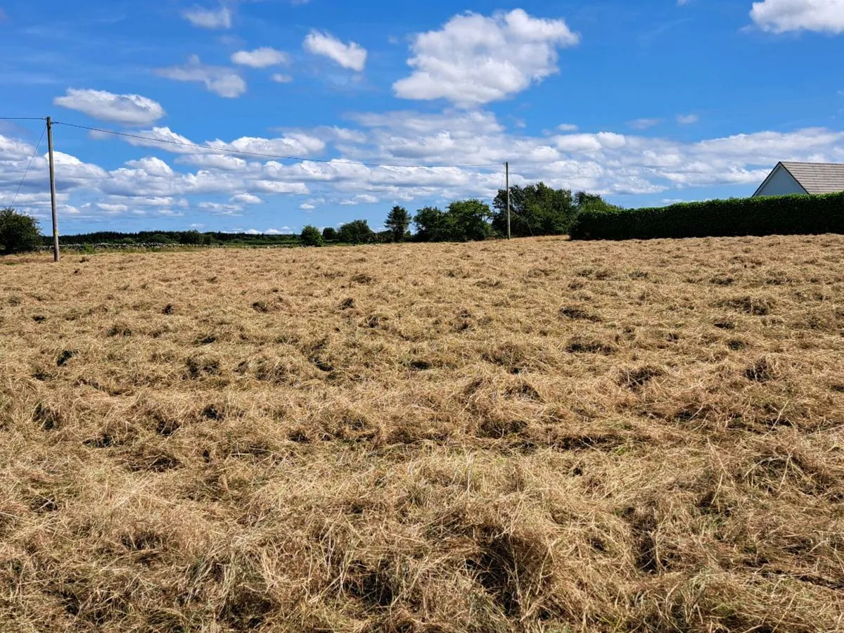 Small square bales of hay - Image 3