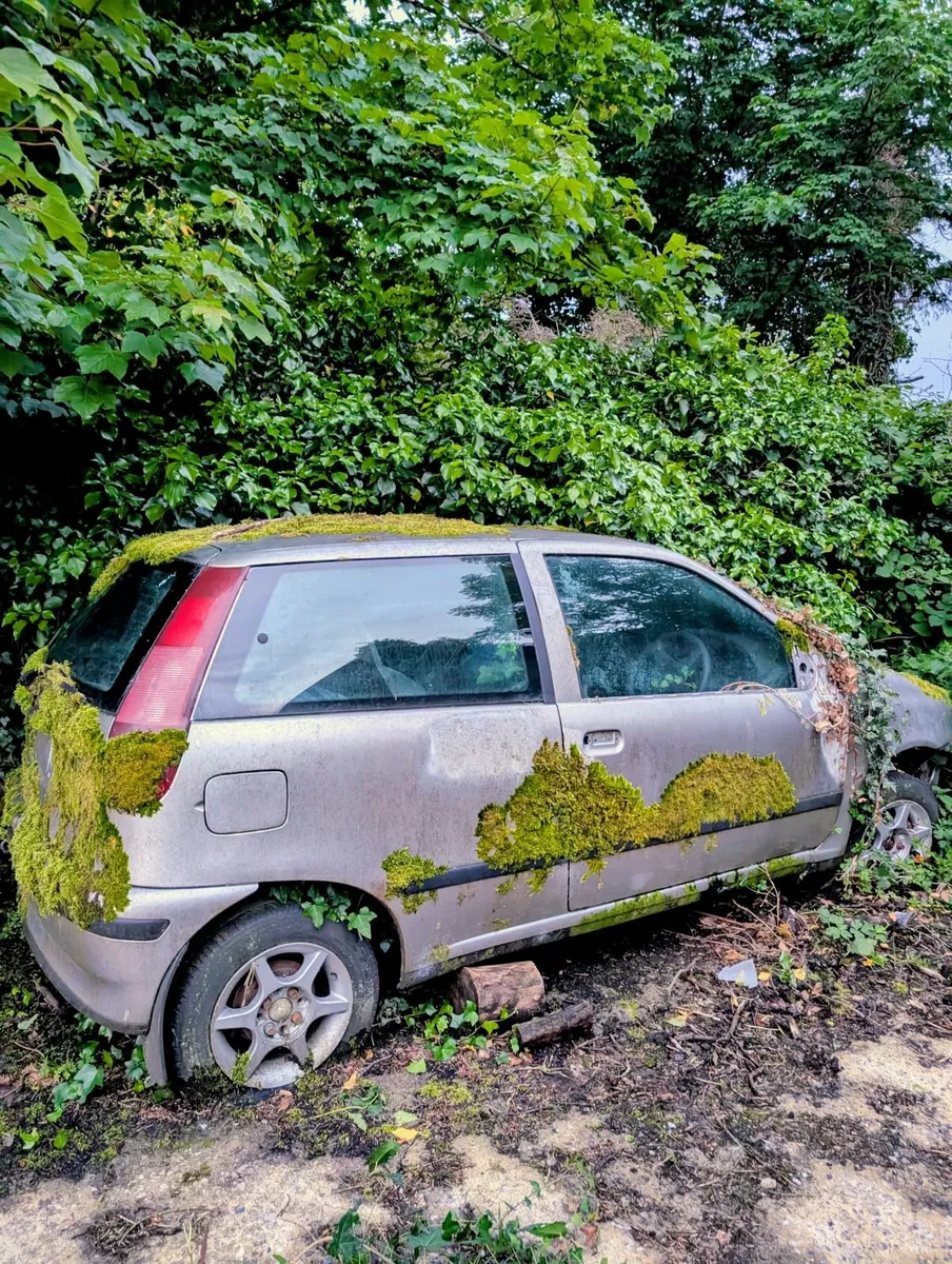 Fiat Punto 1999 - Hedge Find