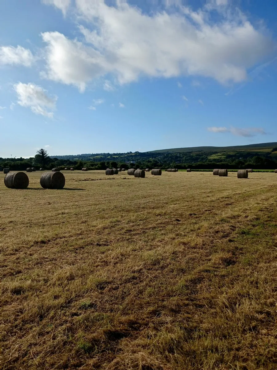 Bedding and feed - Image 2