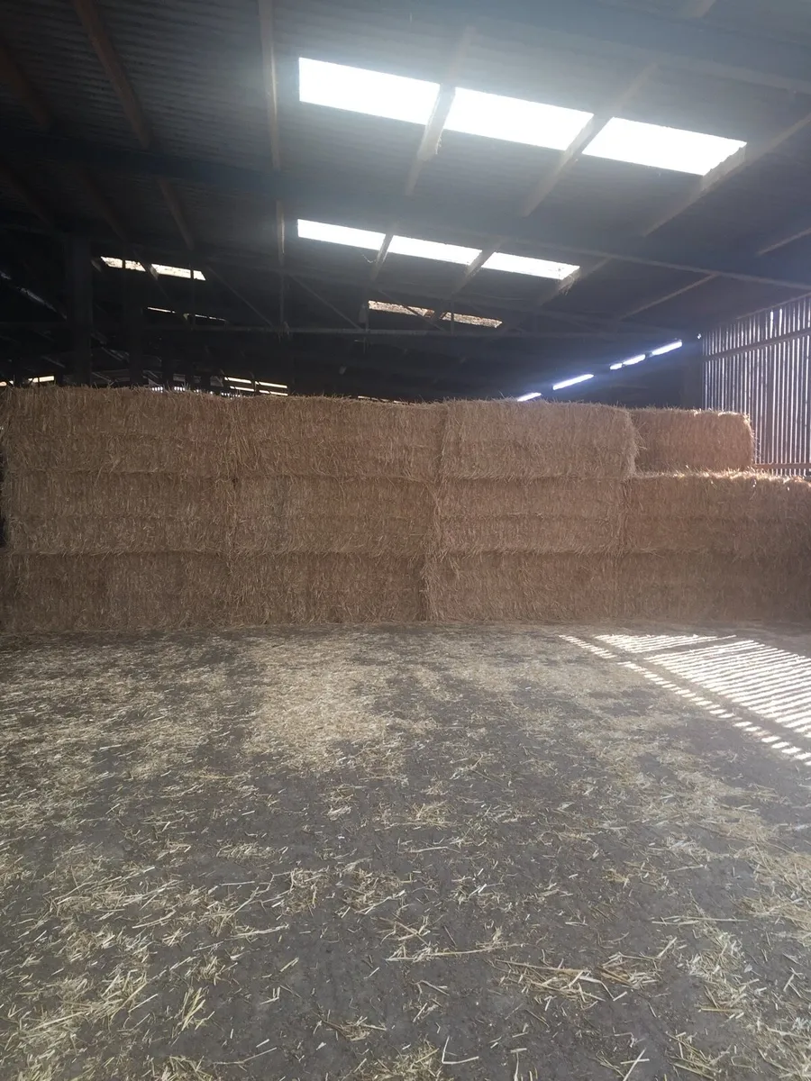 Chopped Barley straw 8x4x3