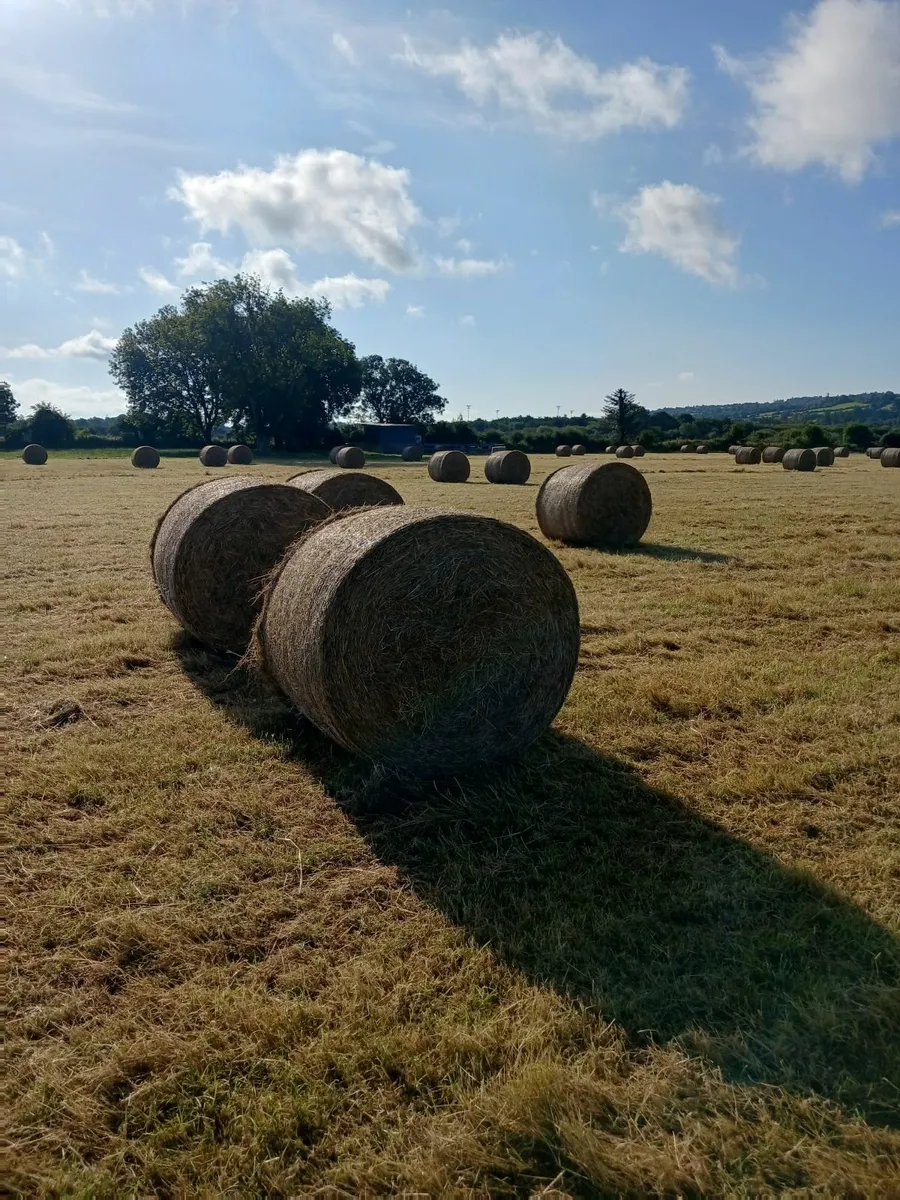 Bedding and feed - Image 3