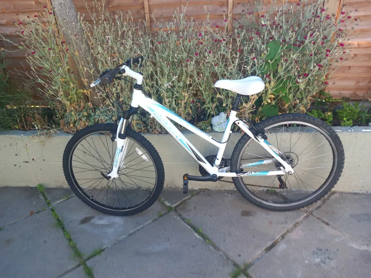 ladies raleigh bike - Image 2