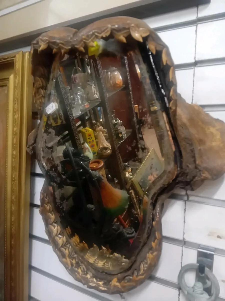 Antique Taxidermy Sharks Mouth Mirror - Image 1