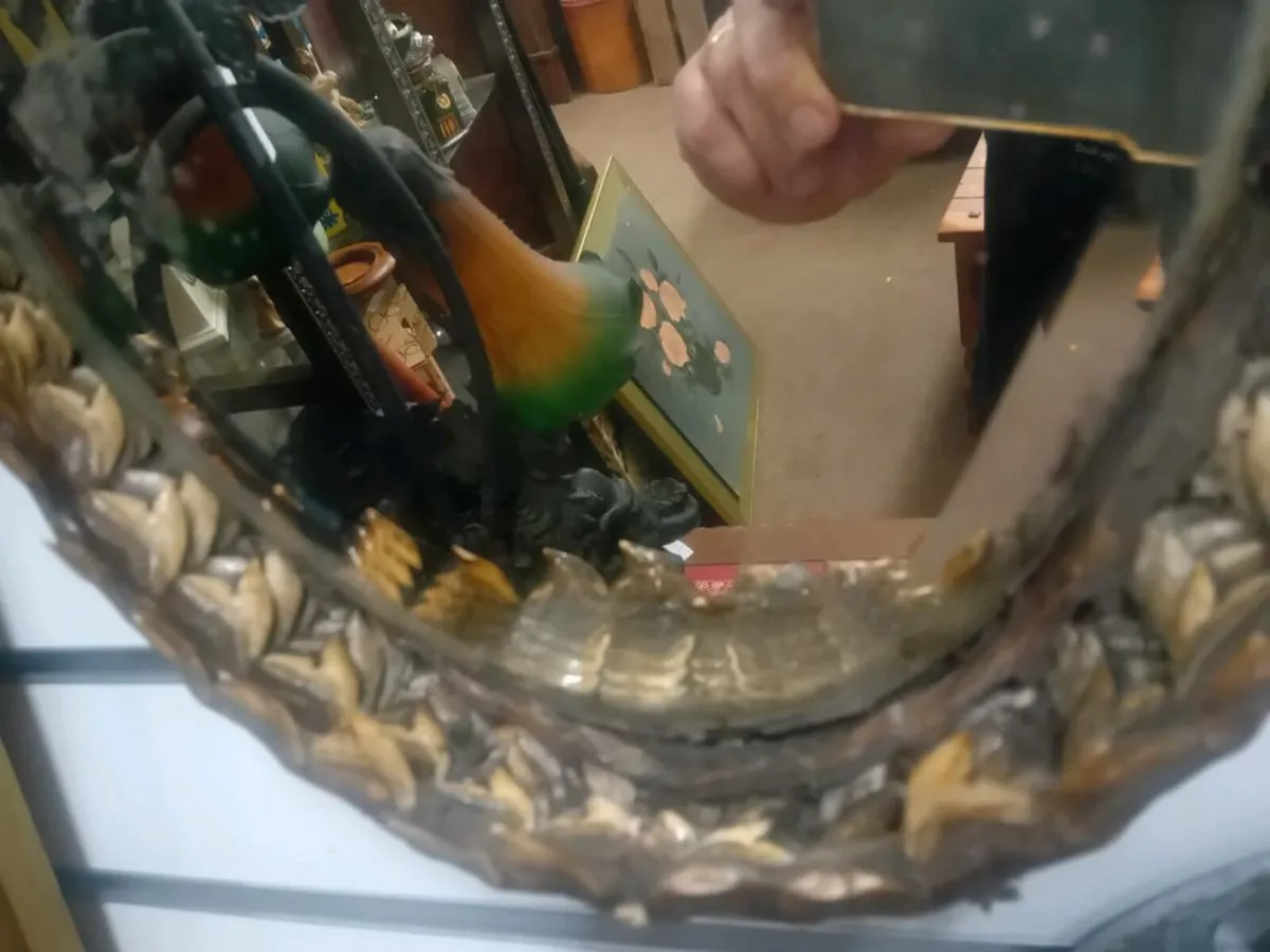 Antique Taxidermy Sharks Mouth Mirror - Image 3