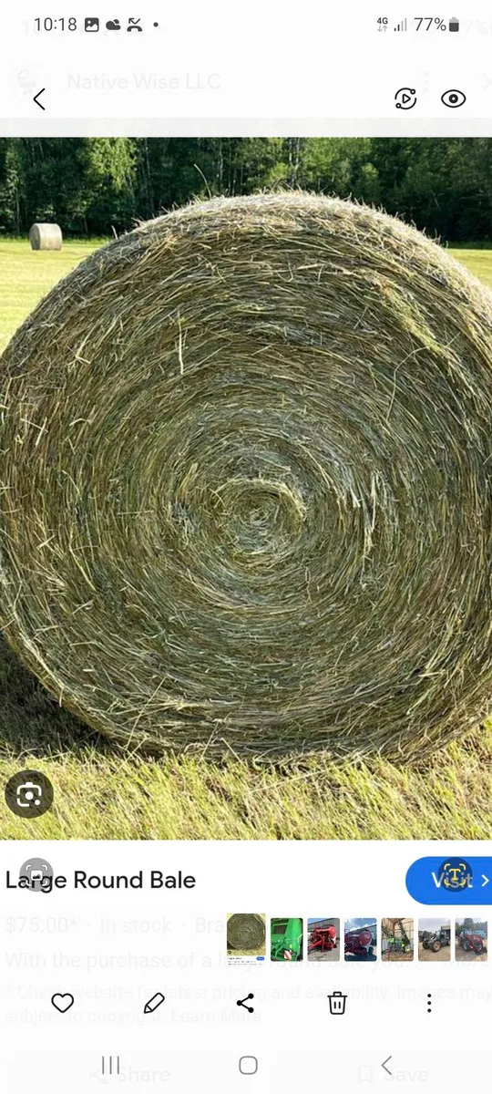 Round bales of hay