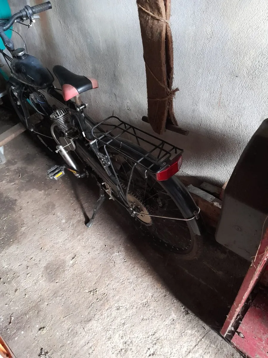 Men’s bikes - Image 2