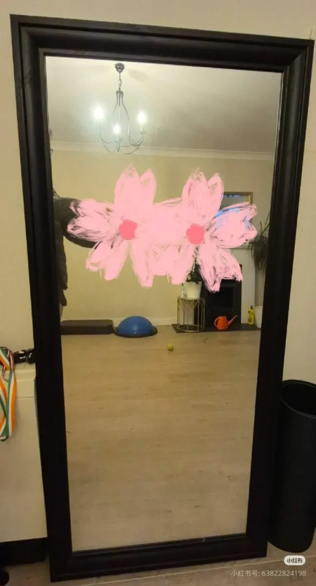 Ikea Toftbyn Mirror Black 75/165cm - Image 1