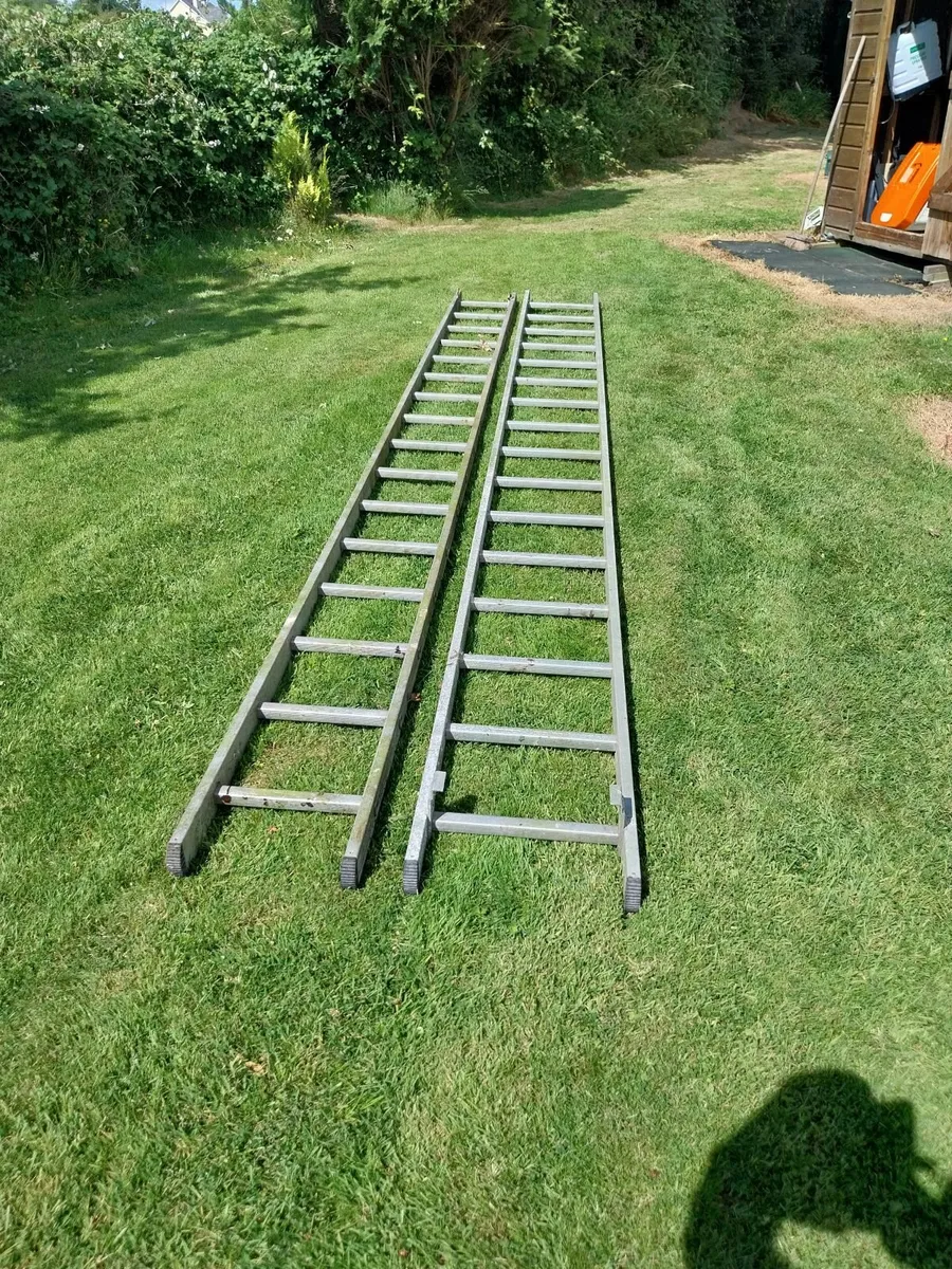 Extension Ladder - Image 1