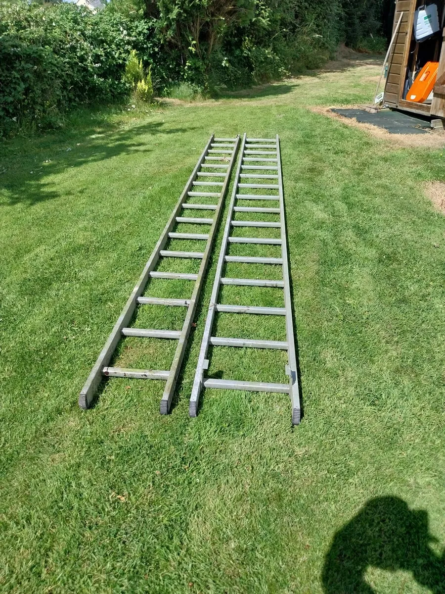 Extension Ladder - Image 2