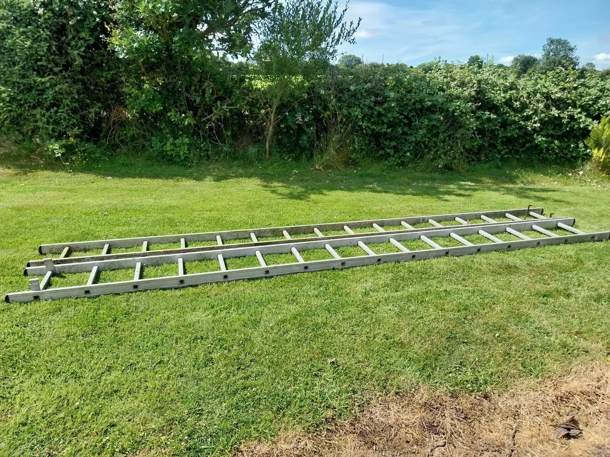 Extension Ladder - Image 3
