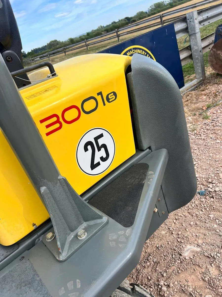 Dumper - Image 3