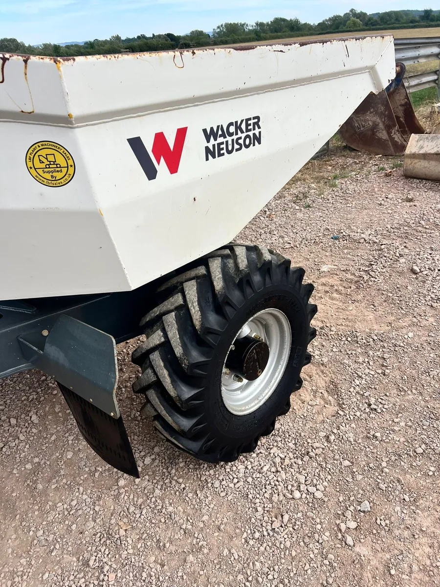Dumper - Image 4