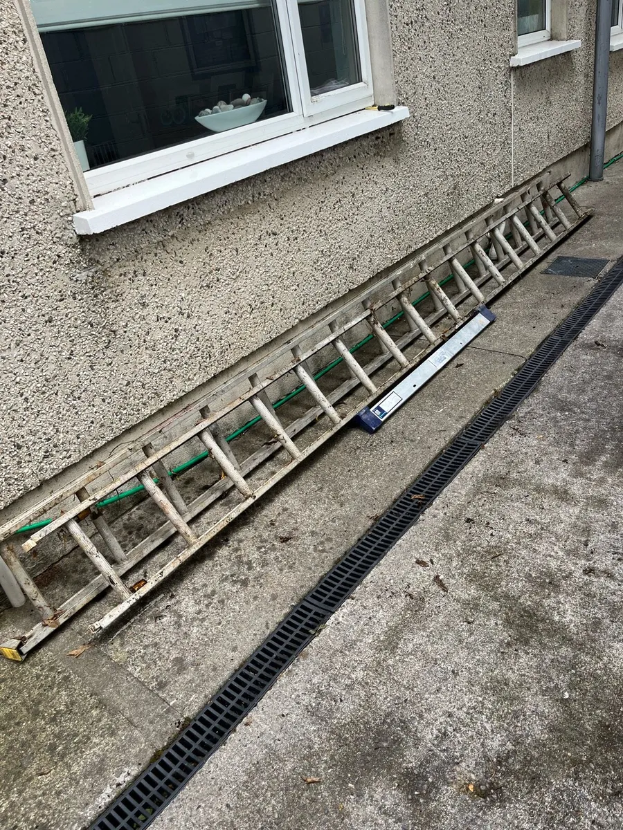 Ladder - Image 1