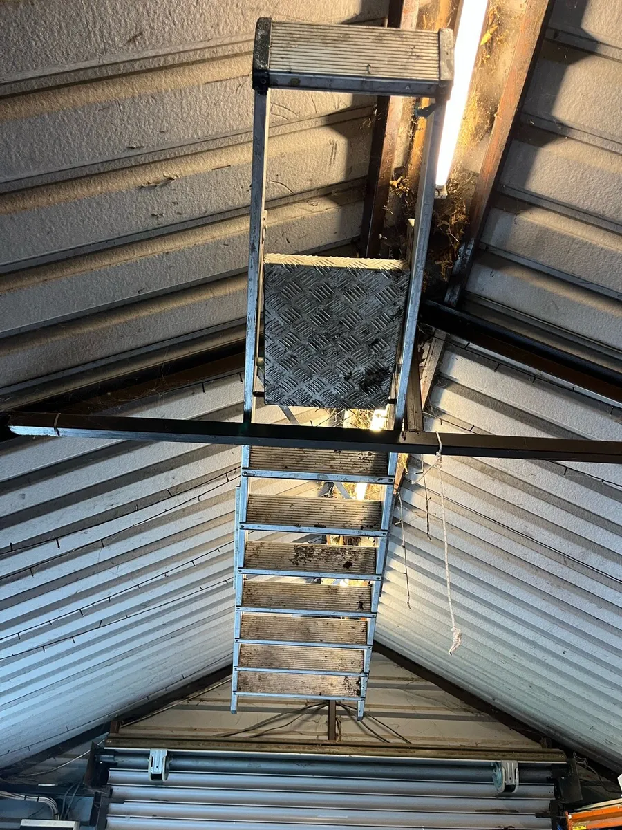 Ladder - Image 2