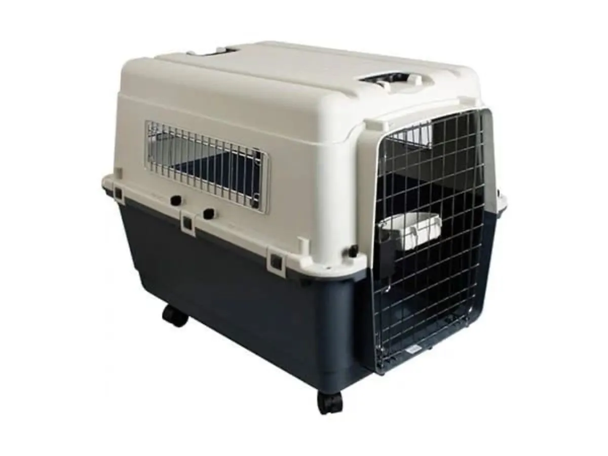 Dog travel crate