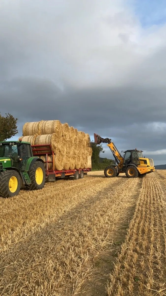 2025 June hay and straw  delivered - Image 3