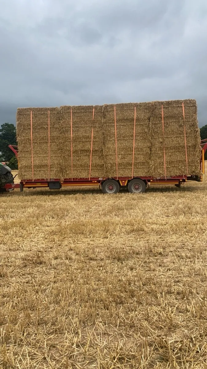 2025 June hay and straw  delivered - Image 4