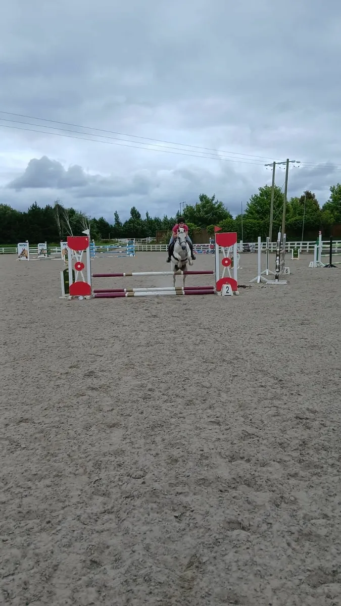 Pony - Image 2