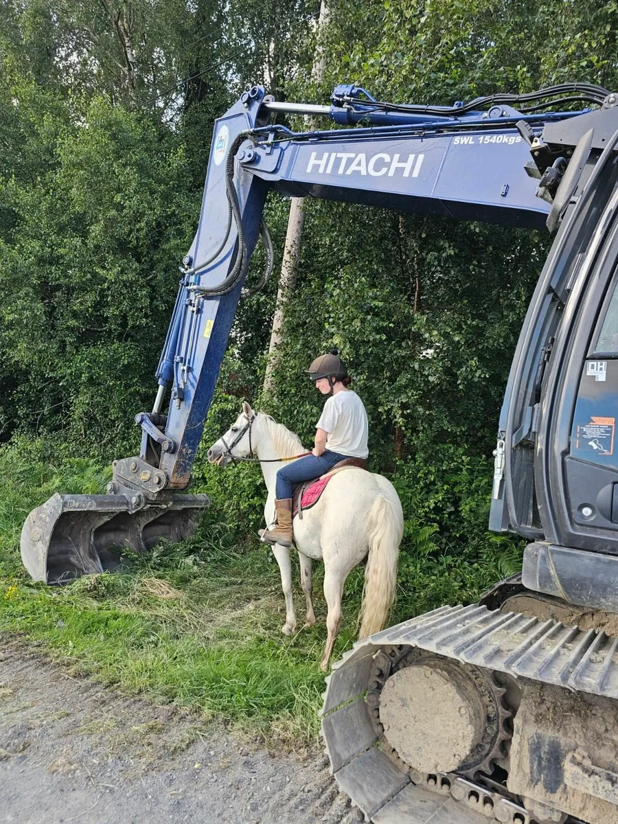 Pony - Image 3