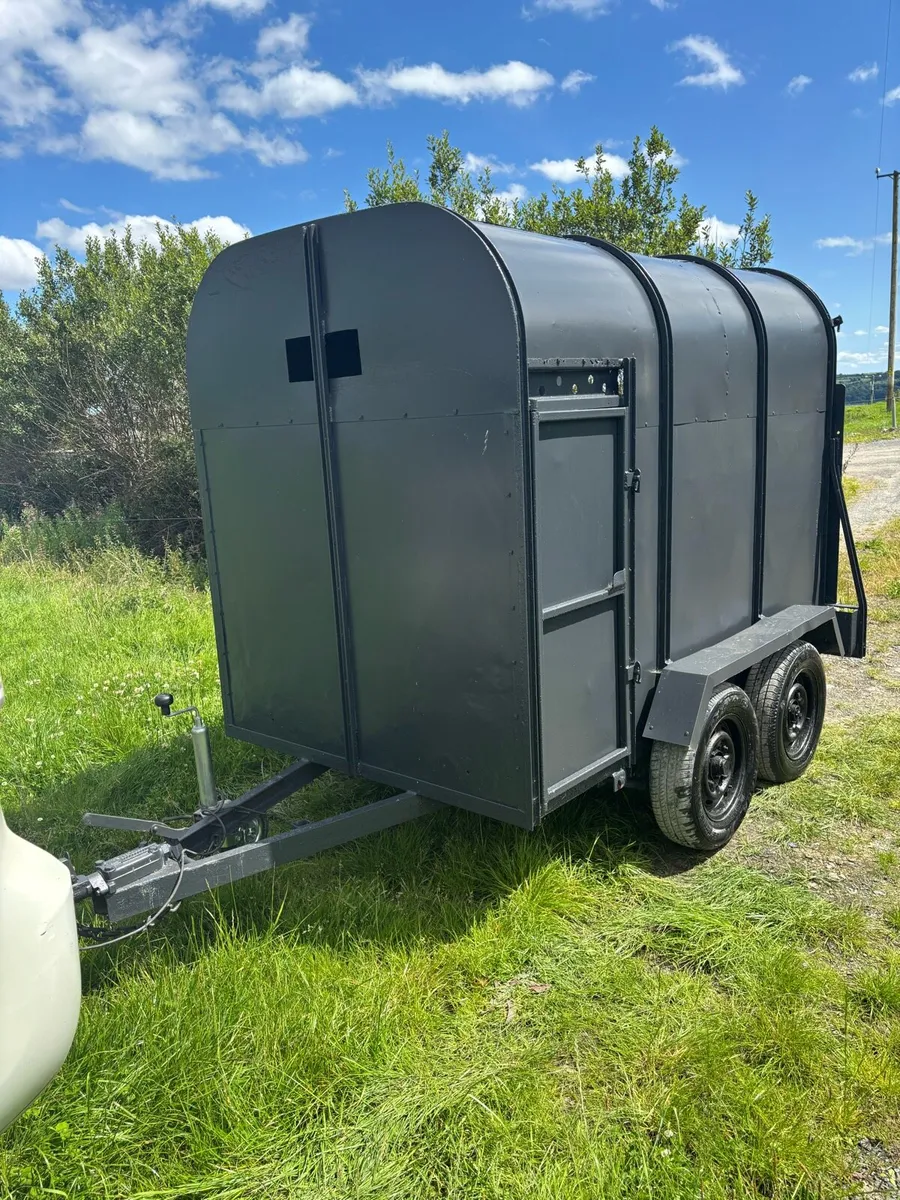 Dooley 8x4”6 cattle box - Image 1