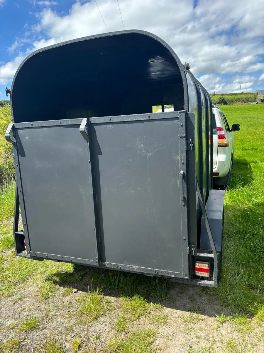 Dooley 8x4”6 cattle box - Image 2