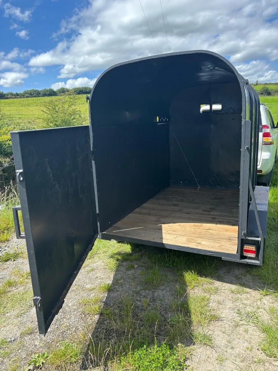 Dooley 8x4”6 cattle box - Image 3