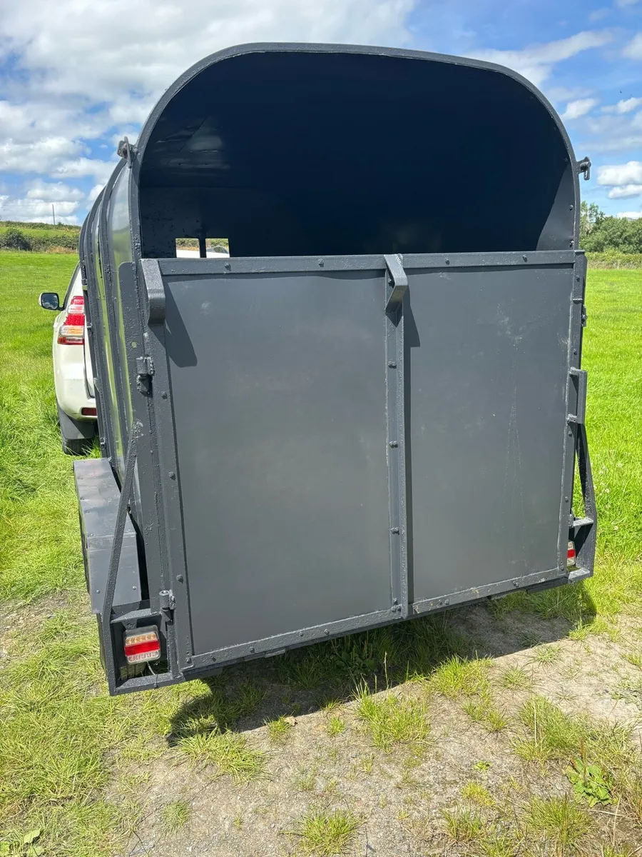 Dooley 8x4”6 cattle box - Image 4
