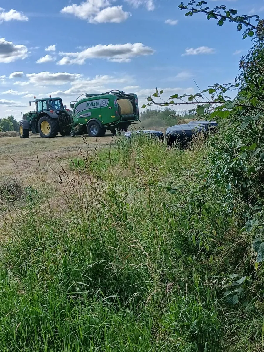 Hay Organic  Certified - Image 3