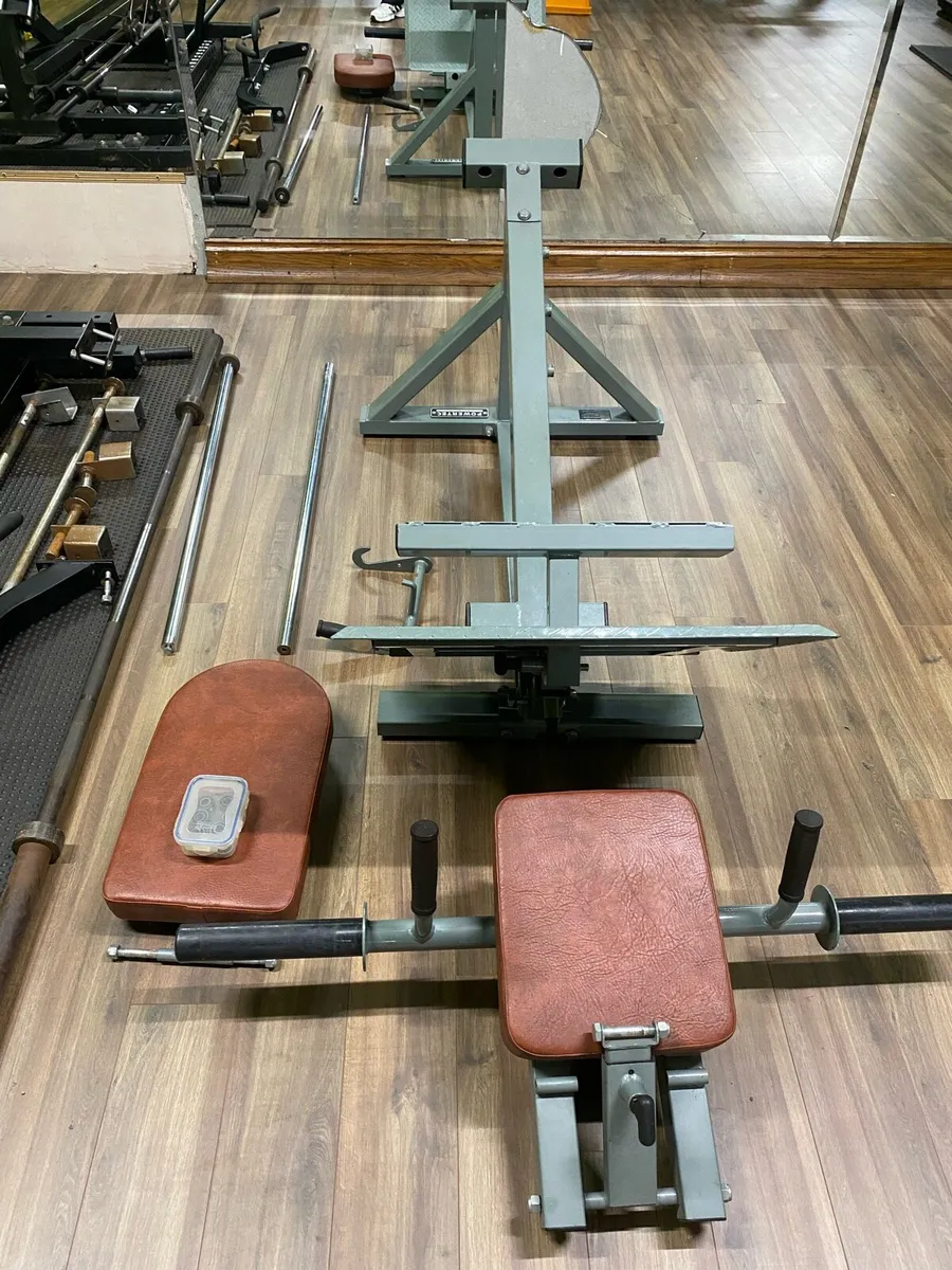 Cage with High / low pulley & weights / LEG Sledge - Image 3
