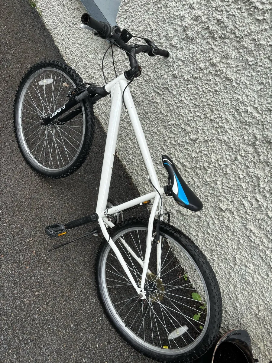 Leopard Mountain Bike 22Inch Rims - Image 3