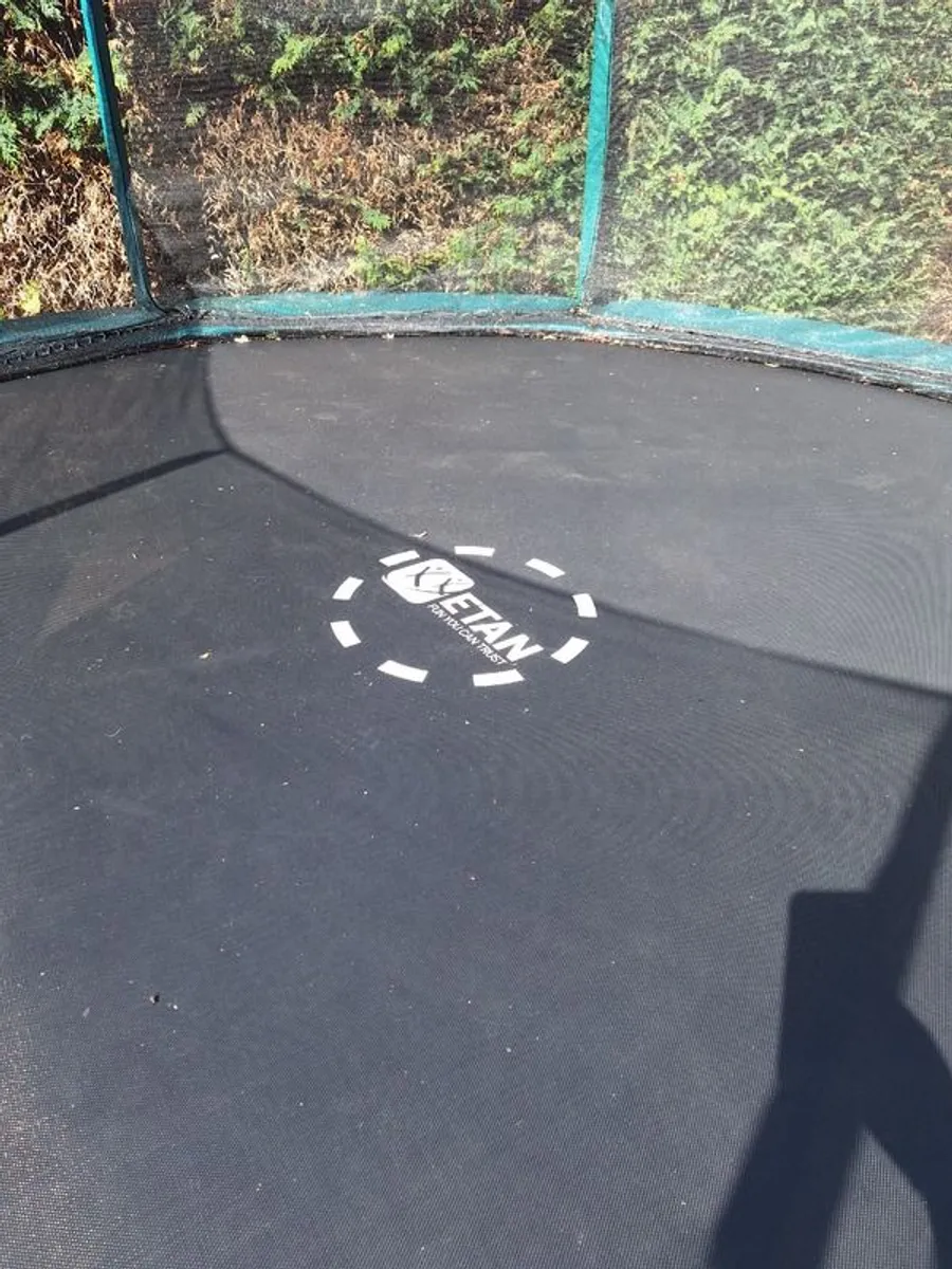 Trampoline 12 foot - Image 3