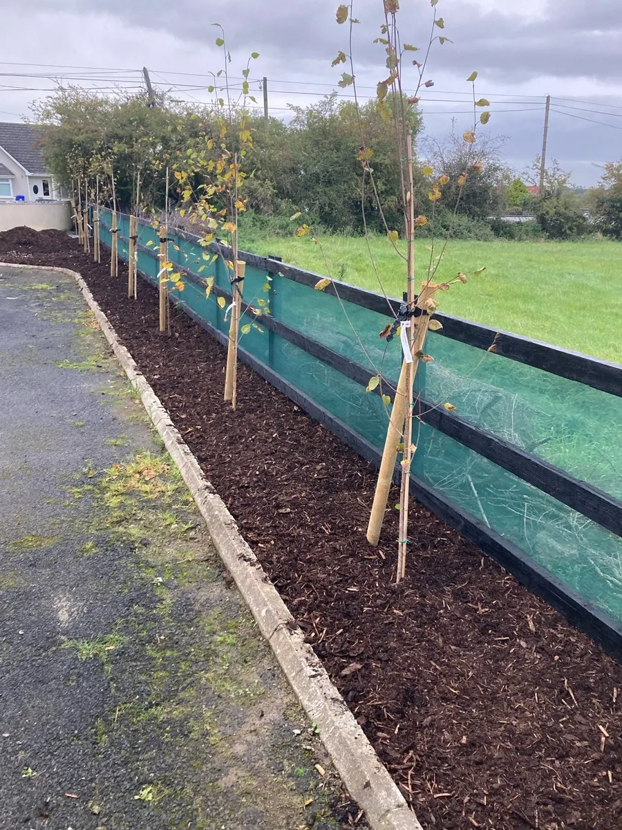 Garden windbreak net  hedge protection - Image 1