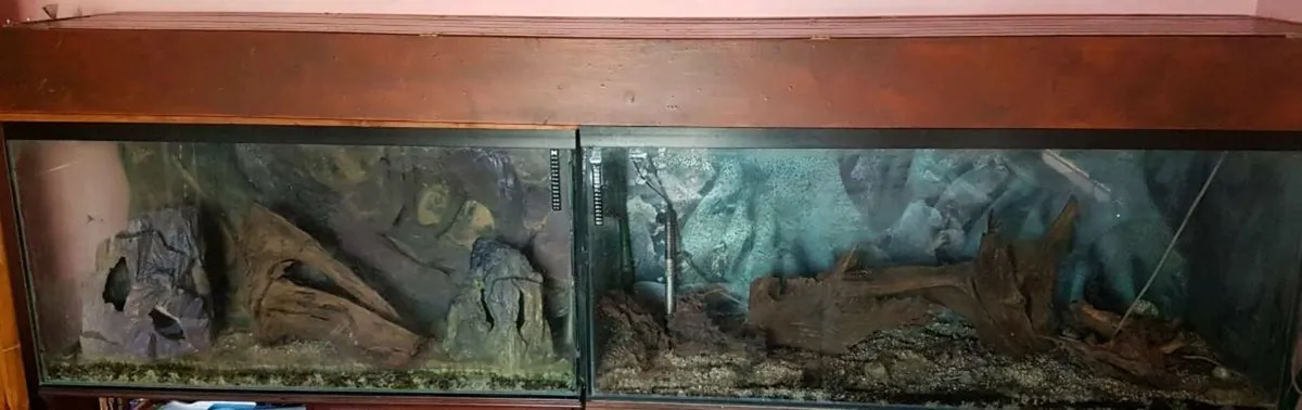 Fish tanks - Image 1
