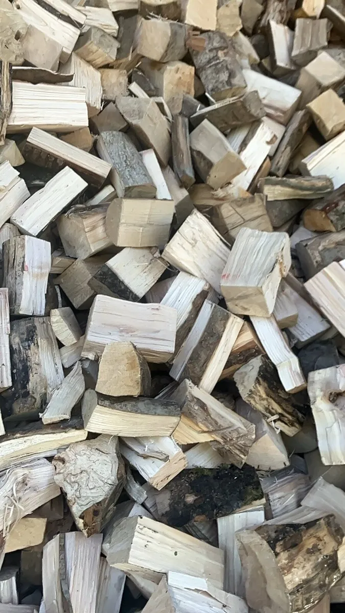 Firewood - Image 1
