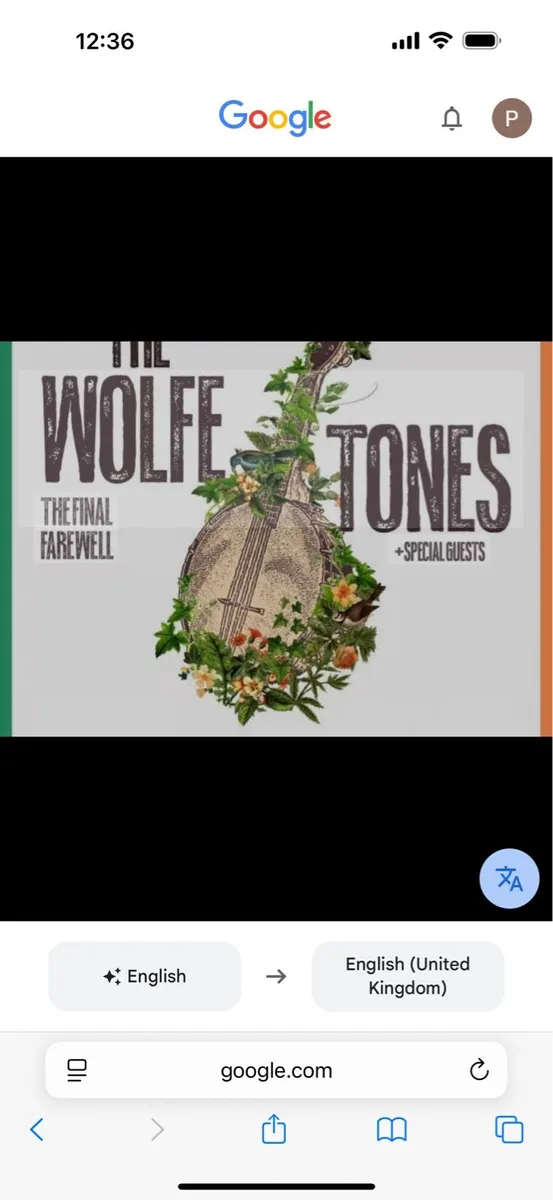 Wolfetones ticket