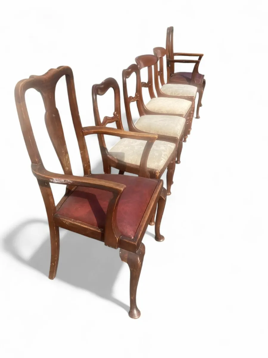 Antique Chairs x 6 - Harlequin Chairs. - Image 1