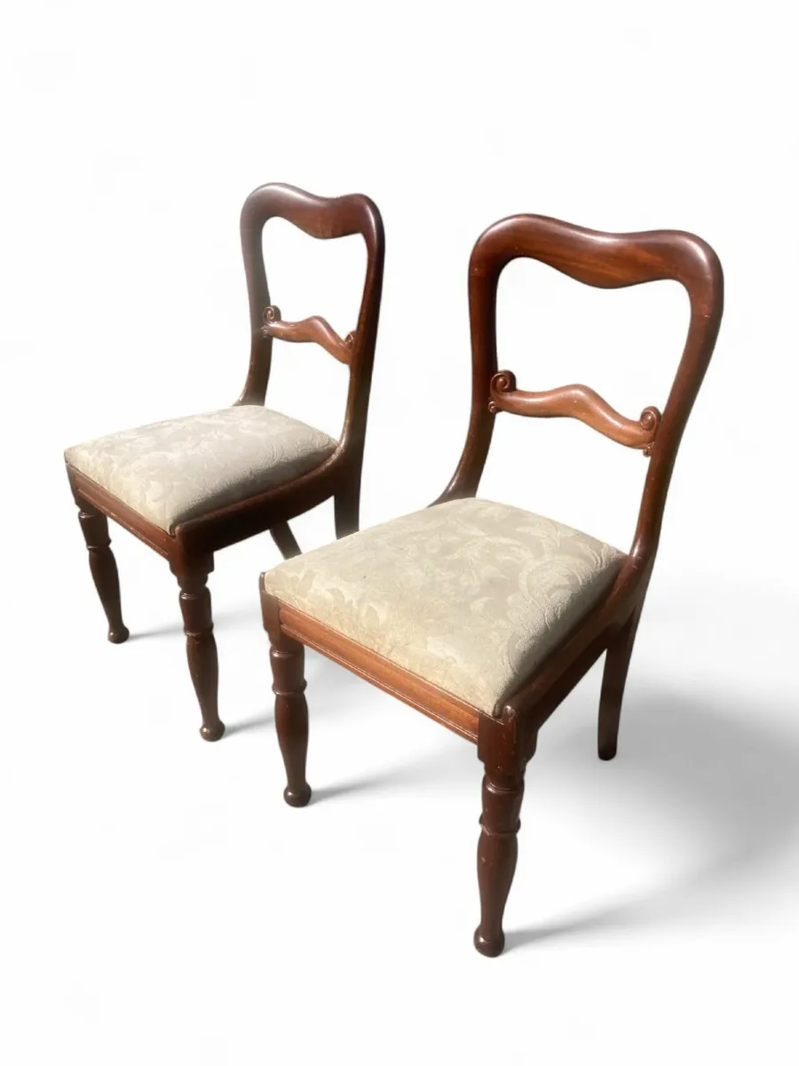 Antique Chairs x 6 - Harlequin Chairs. - Image 3