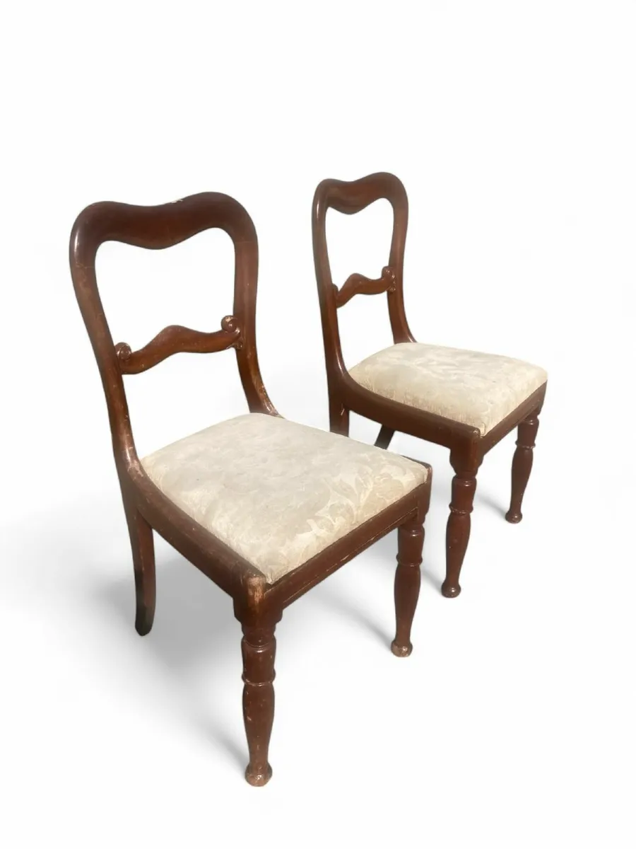 Antique Chairs x 6 - Harlequin Chairs. - Image 4