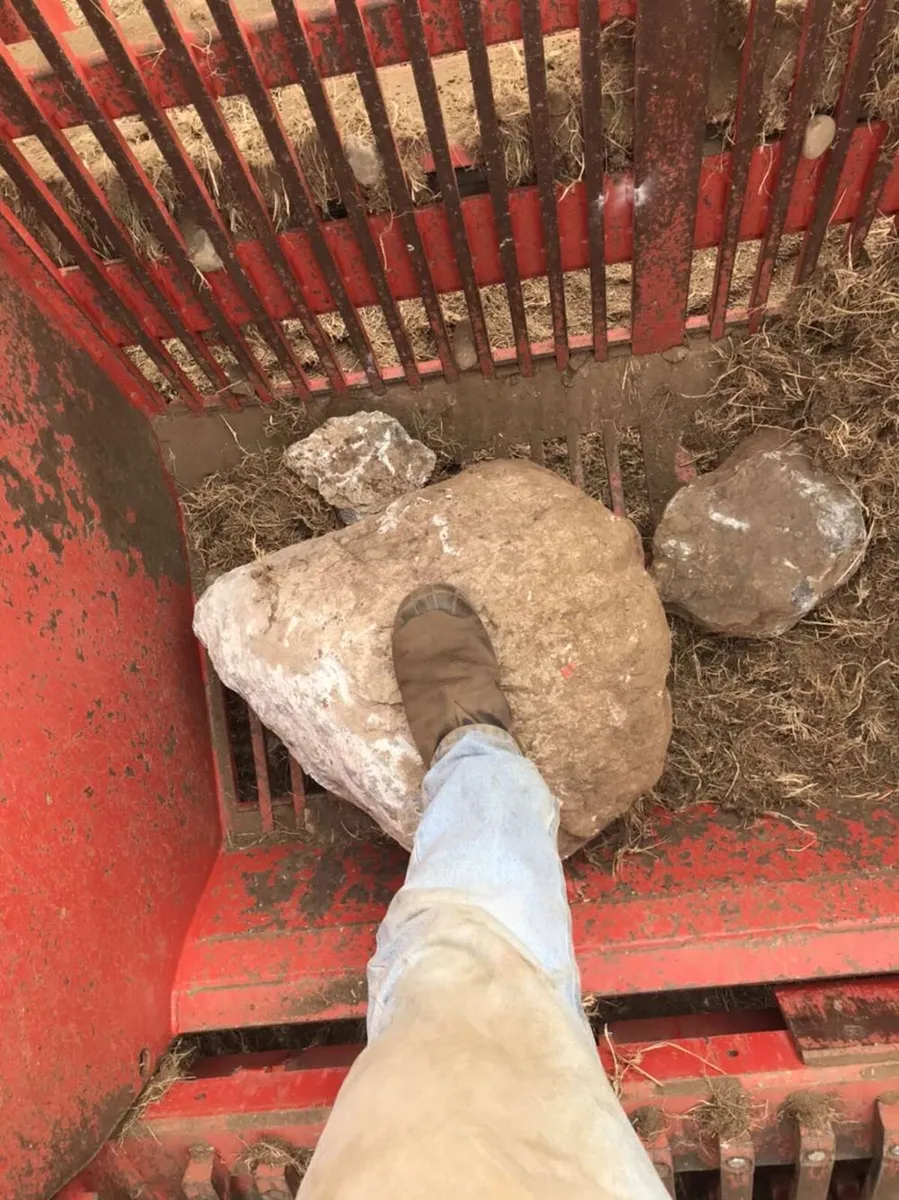 Stone picking and agri service - Image 4