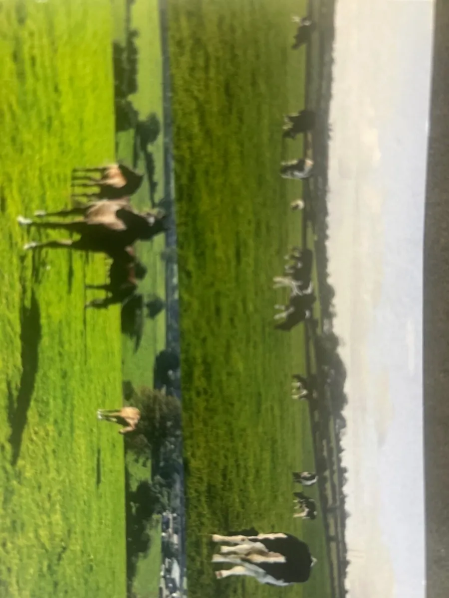 Farm worker wanted