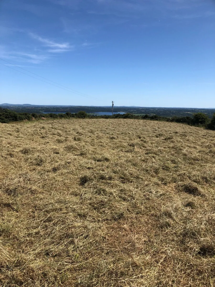 Hay - Image 1