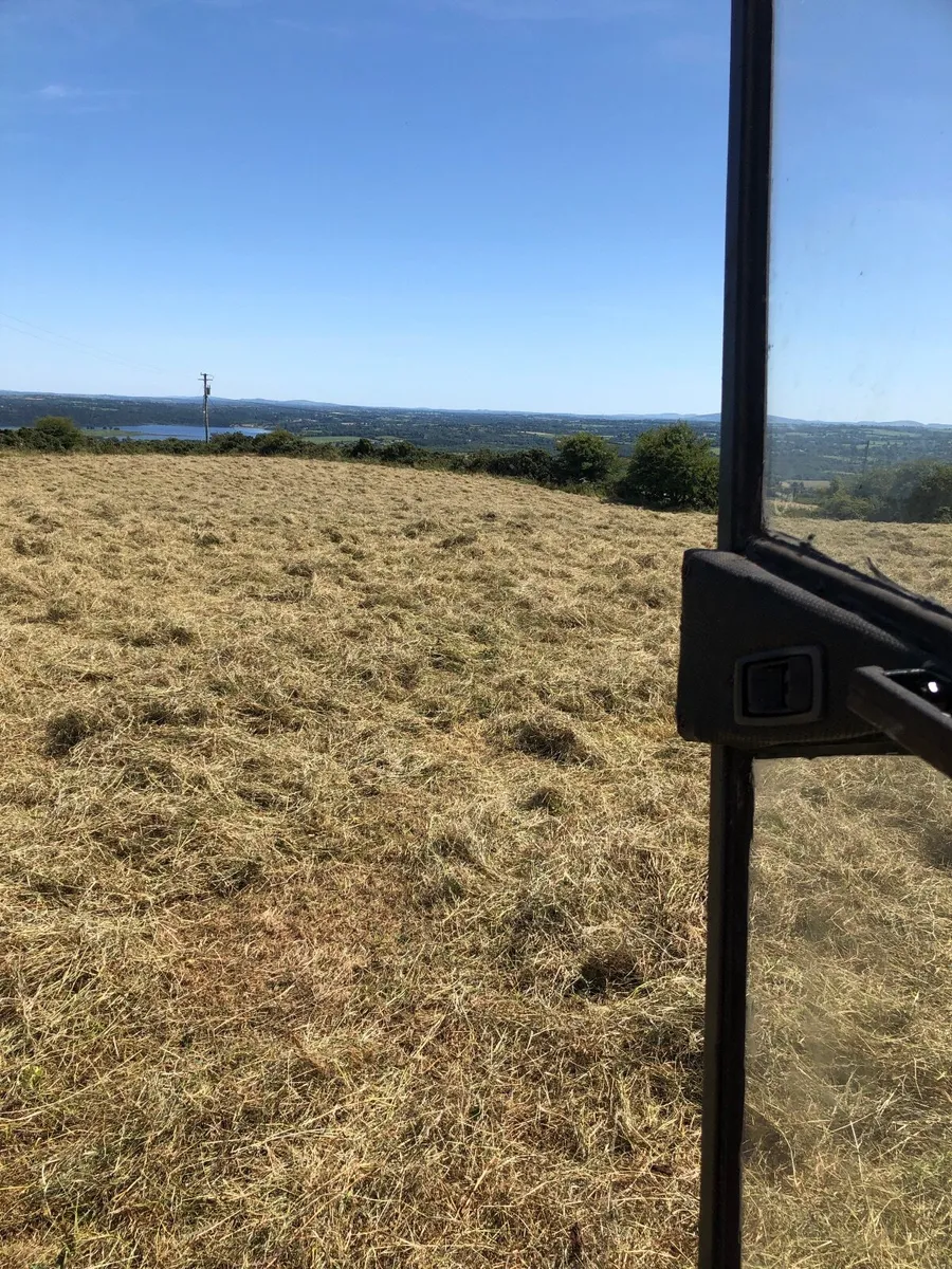Hay - Image 2